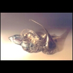 Volcanic Landscape 14x16x10 in.jpg